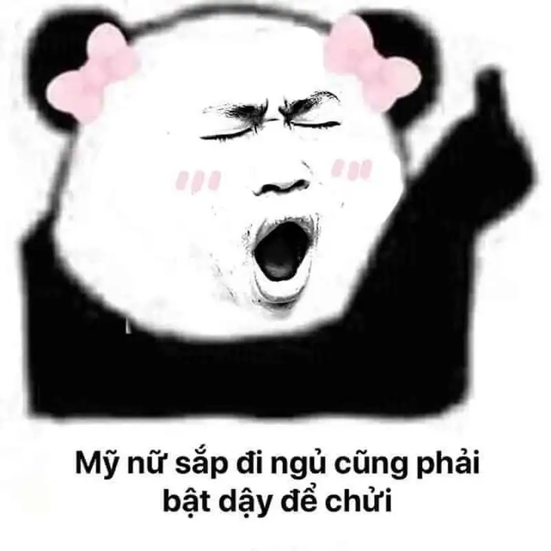 Meme mèo nằm ngủ khiến bạn cảm thấy thoải mái và dễ chịu