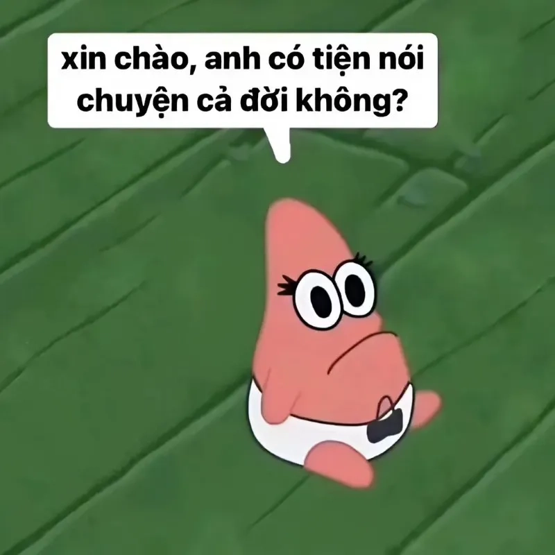 Meme tình bạn là hình ảnh vui vẻ cho những ai yêu quý nhau