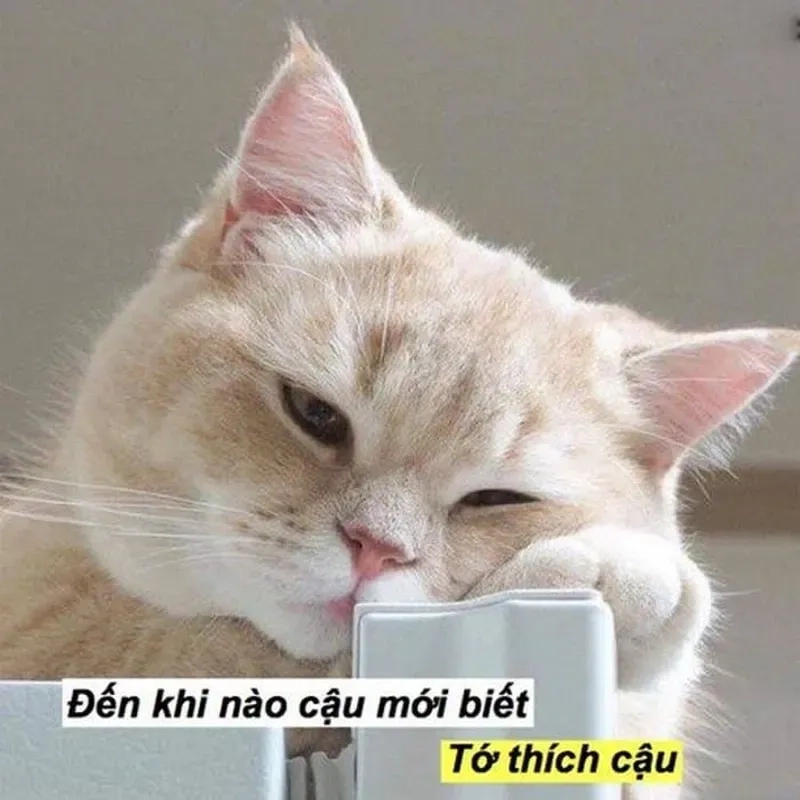 Meme sạc pin tình yêu sẽ làm bừng sáng tâm trạng của bạn