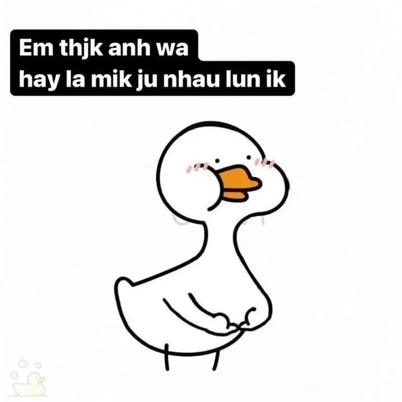 Meme tình anh em mang đến sự gắn kết và tình cảm chân thành