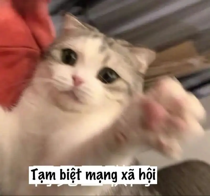 Meme Trung Hoa không chỉ hài hước mà còn đầy tính sáng tạo