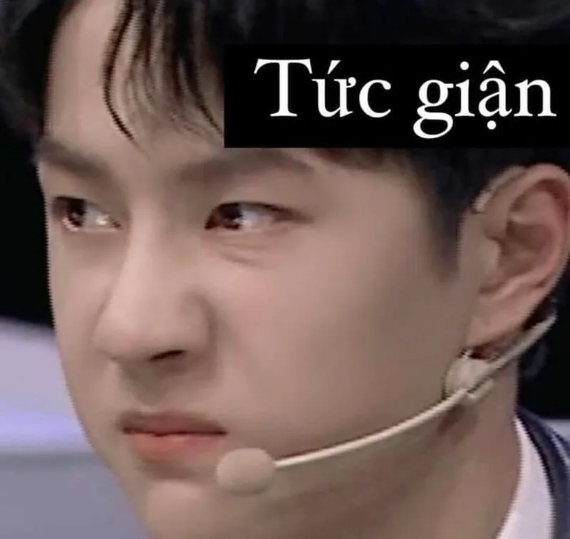 Tức giận tức giận meme mèo cute khiến bạn không thể nhịn cười