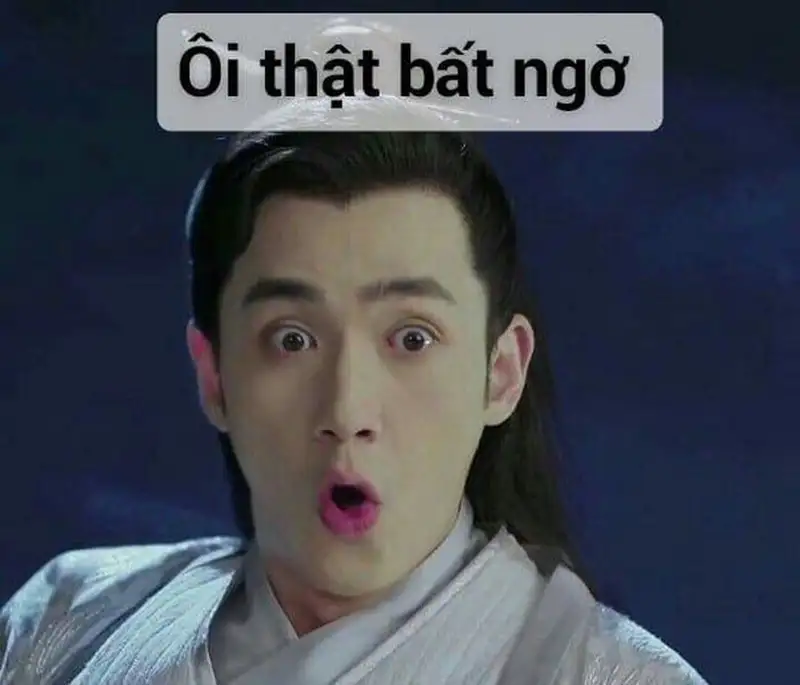 Bất ngờ chưa meme là câu cửa miệng kèm hình ảnh đầy hài hước