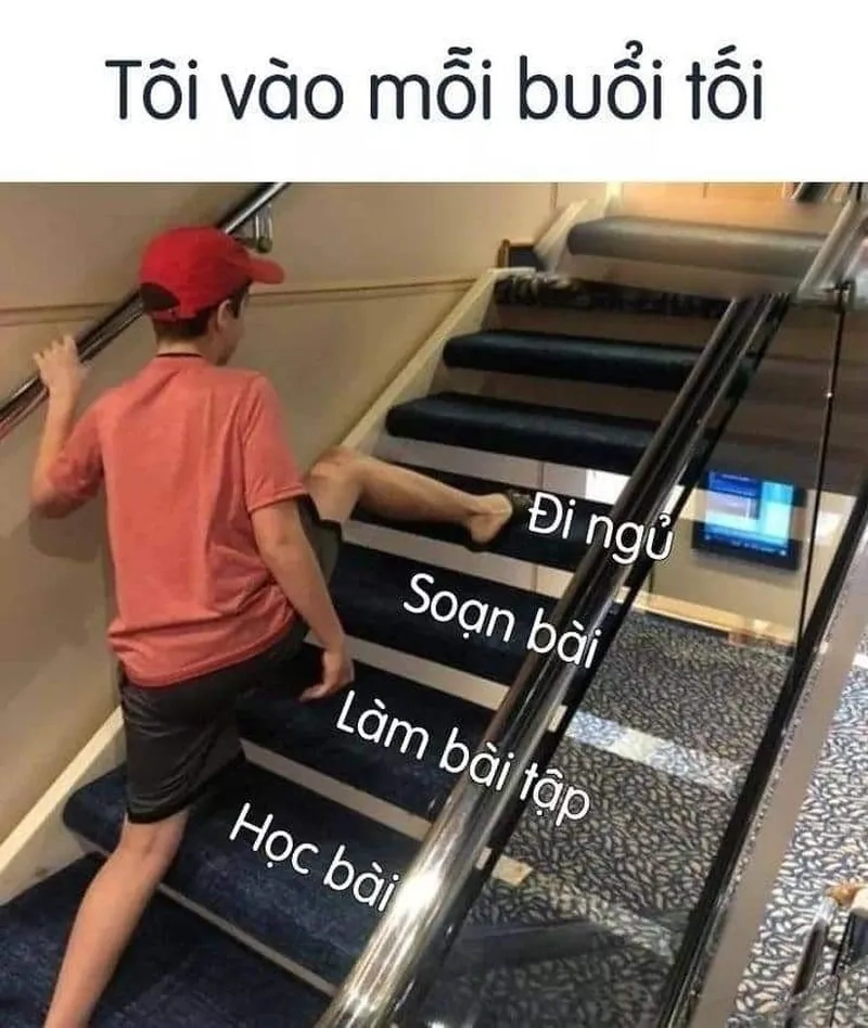 Meme chúc ngủ ngon dễ thương giúp bạn gửi lời chúc ngọt ngào