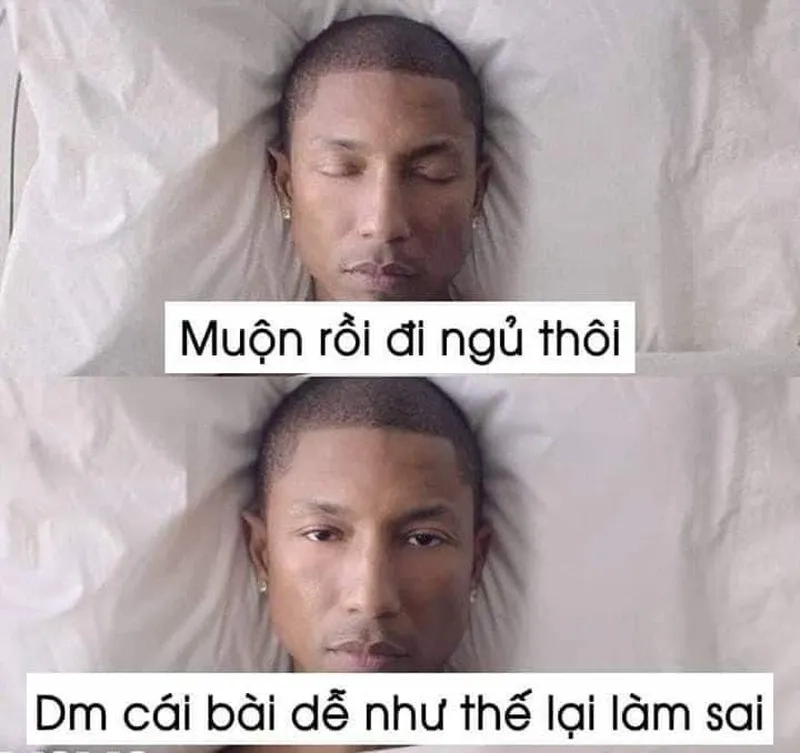 Meme chúc ngủ ngon hài hước khiến bạn không thể nhịn cười