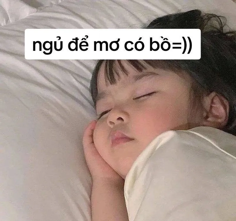 Meme ngủ cute là lựa chọn hoàn hảo cho những ai yêu thích sự dễ thương