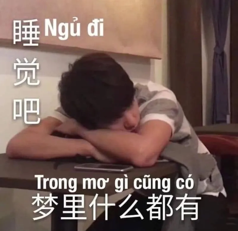 Meme công chúa ngủ trong rừng khiến bạn cảm thấy thú vị