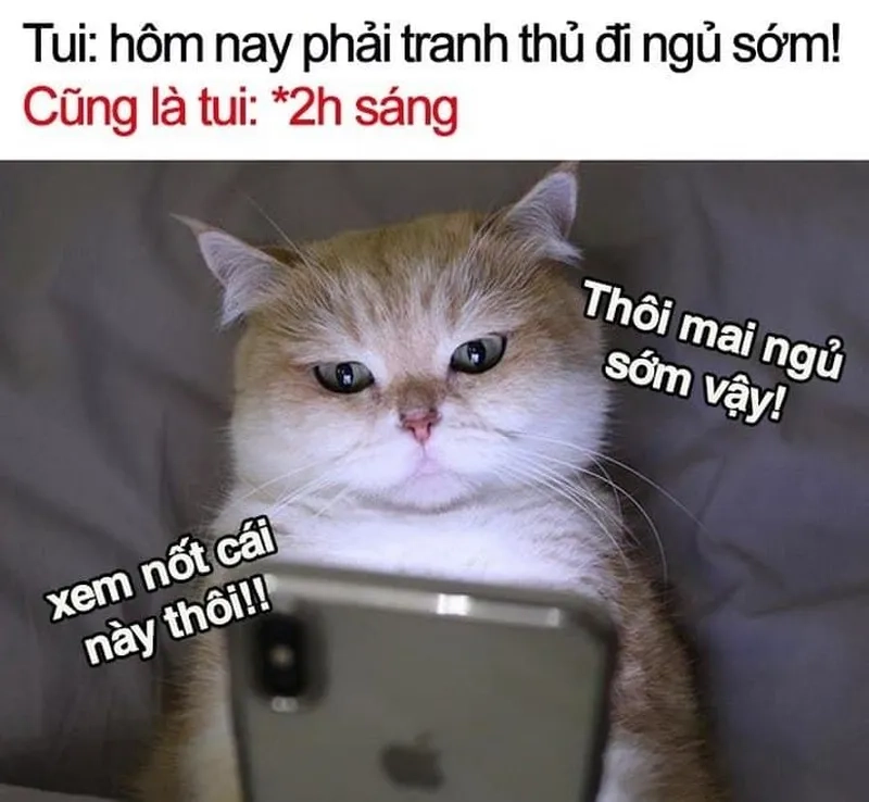 Meme ngủ ngon hài mang lại tiếng cười cho những ai chuẩn bị đi ngủ