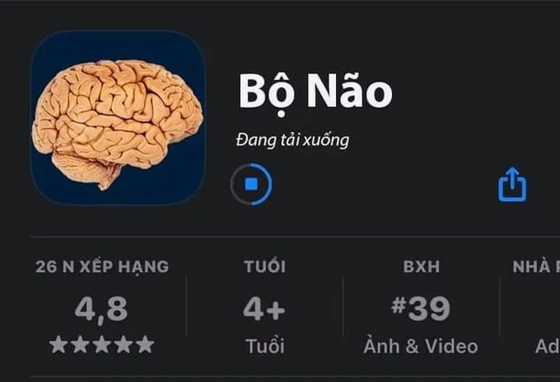 Đồ ngu đồ ăn hại meme mang lại tiếng cười cho những tình huống dở khóc dở cười