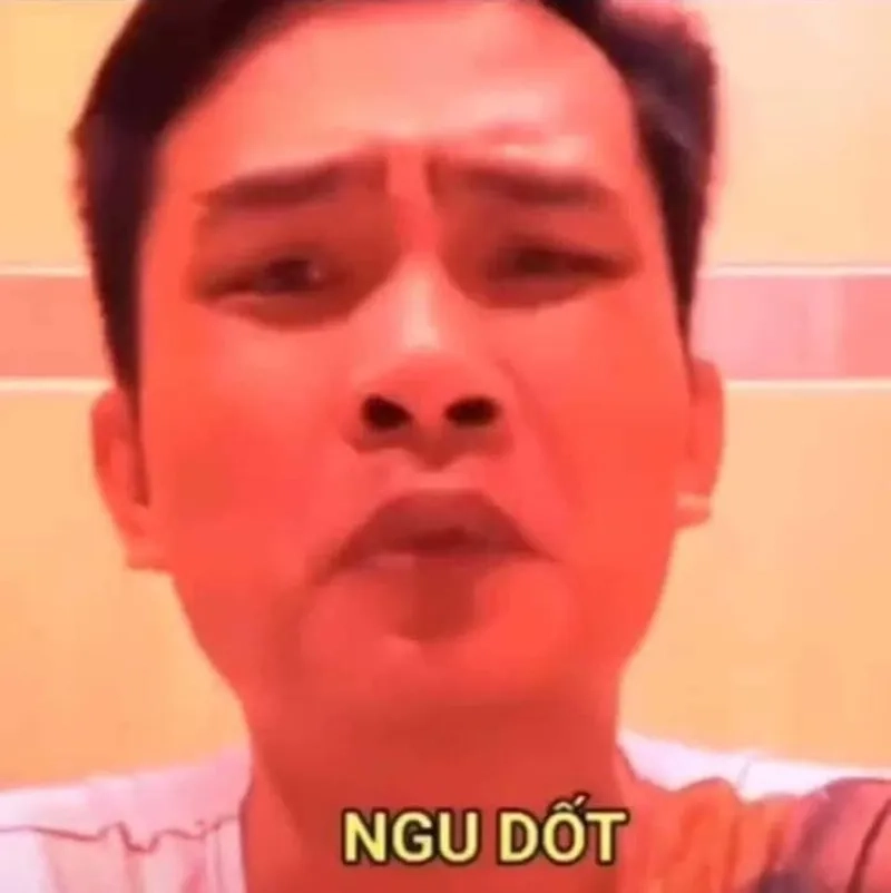 Ngu ngốc meme là nguồn cảm hứng cho những ai yêu thích sự hài hước