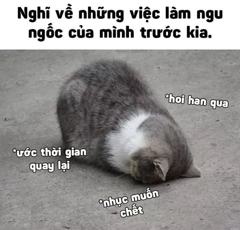 Meme giả ngu thể hiện sự ngốc nghếch đáng yêu của nhân vật