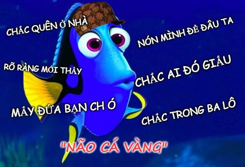 Mặt ngu meme khiến mọi người cảm thấy hài hước và thú vị