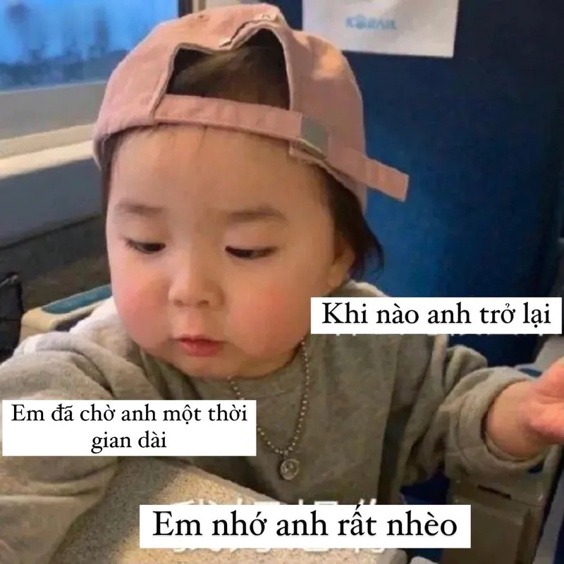 Meme mèo yêu dễ thương khiến bạn cảm thấy vui vẻ