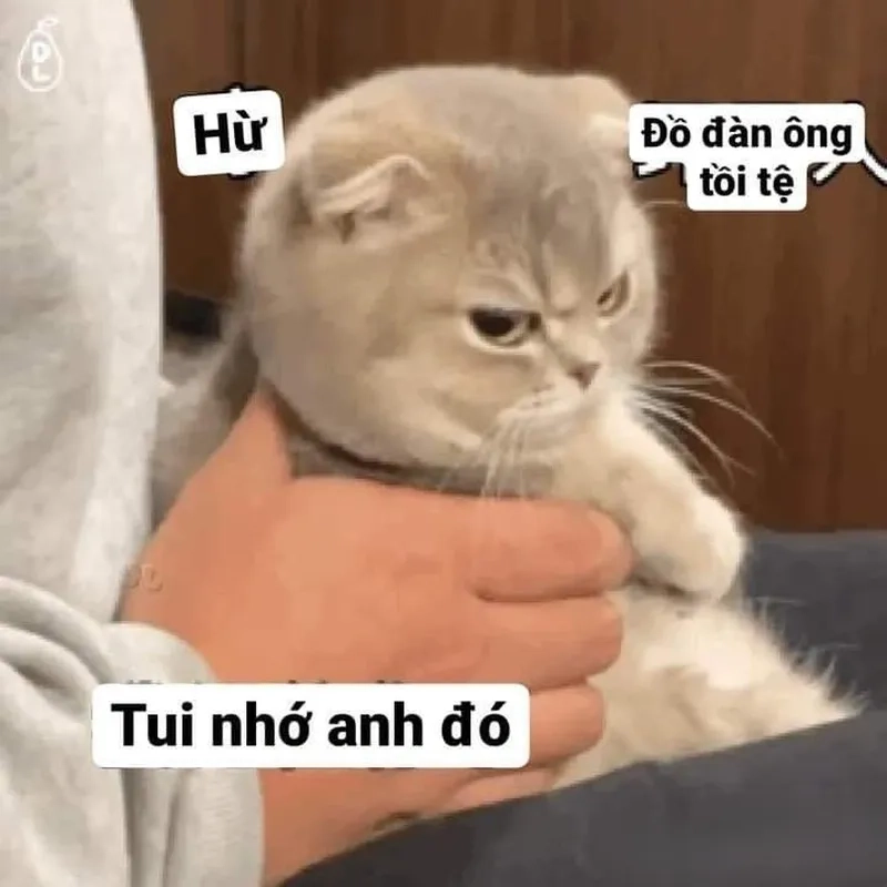 Meme nhớ em mang lại nỗi nhớ ngọt ngào và sâu sắc