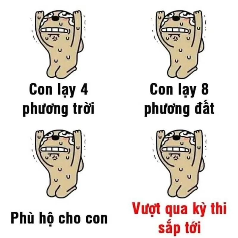 Ảnh quỳ lạy meme dễ thương khiến bạn muốn chia sẻ ngay