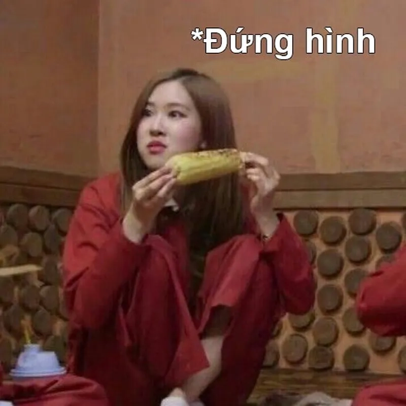 Ảnh meme rose mang đến sự hài hước cho những ai yêu thích