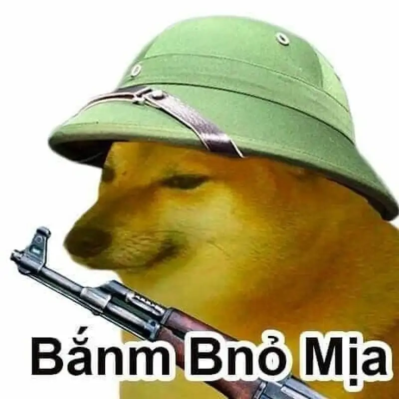 Dog meme shiba khiến bạn không thể nhịn cười