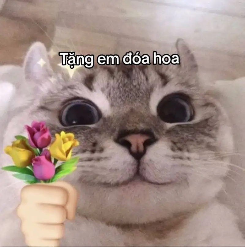 Tặng kẹo meme là cách thể hiện sự ngọt ngào và dễ thương qua hình ảnh vui nhộn.