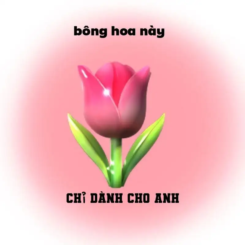 Meme mèo tặng kẹo là món quà ngọt ngào