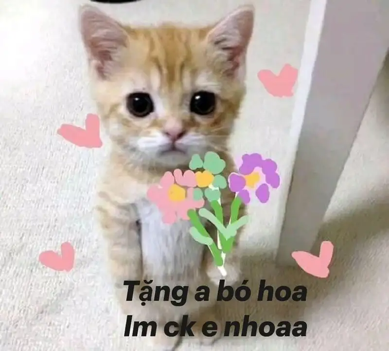 Meme xin tiền là cách thể hiện sự hài hước và bất ngờ trong những tình huống trêu đùa.