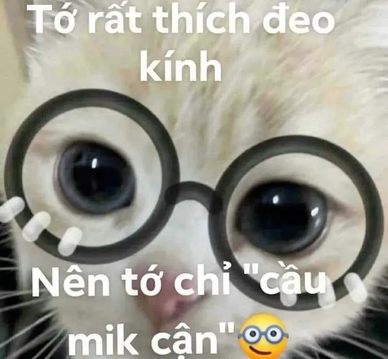 Meme thả thính hài là lựa chọn hoàn hảo cho những ai yêu thích hài hước