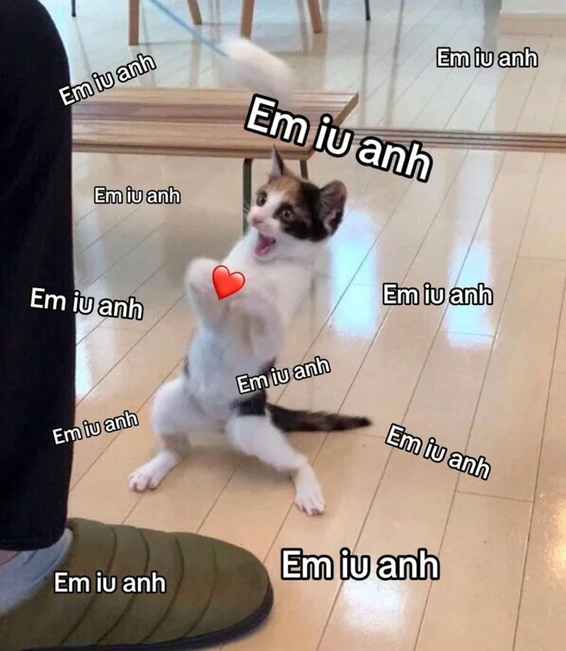 Cute ảnh meme tình yêu mang đến sự ấm áp cho trái tim bạn