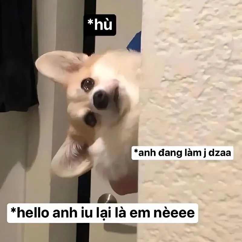 Cute meme tình yêu là hình ảnh vui vẻ cho những ai yêu thích tình yêu