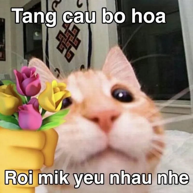 Cute meme tình yêu là lựa chọn hoàn hảo cho những ai yêu thích tình yêu