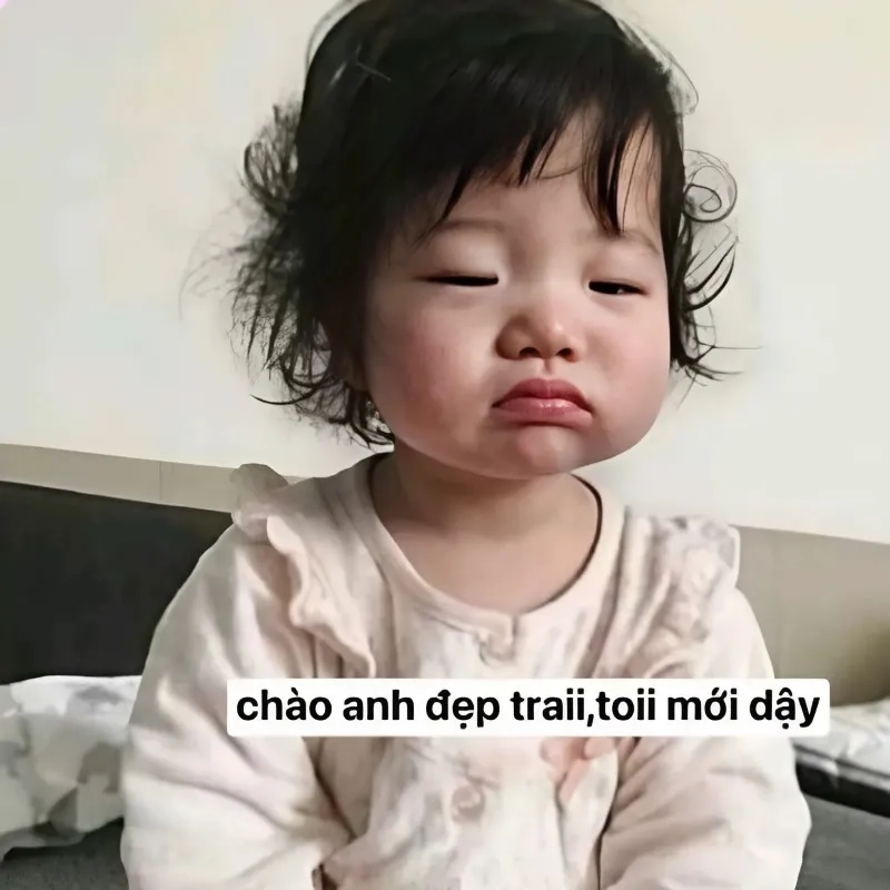 Meme tình yêu vũ trụ mang lại sự lãng mạn cho người xem