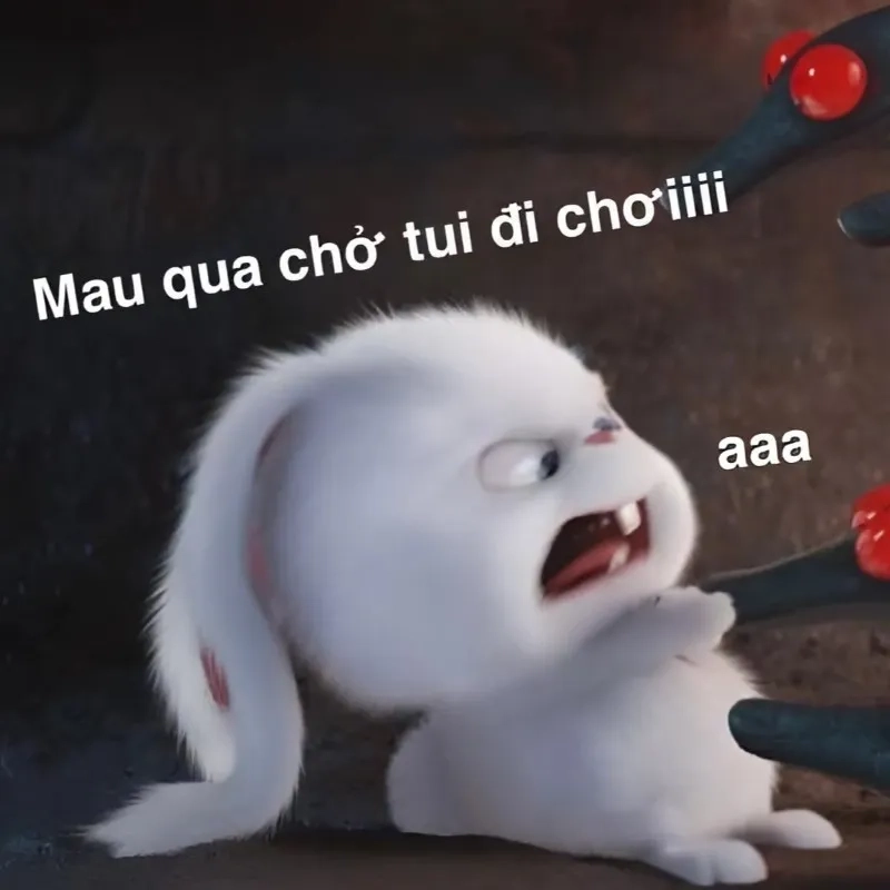 Tình yêu to bự meme khiến bạn cảm thấy thú vị