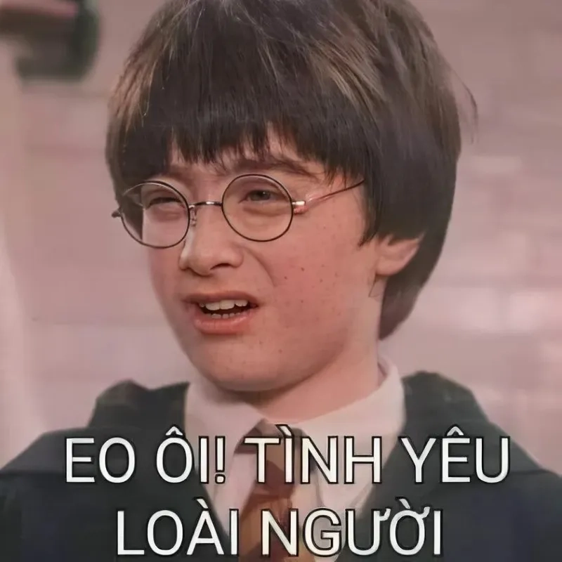 Meme mèo hun khiến bạn cảm thấy dễ thương và vui vẻ