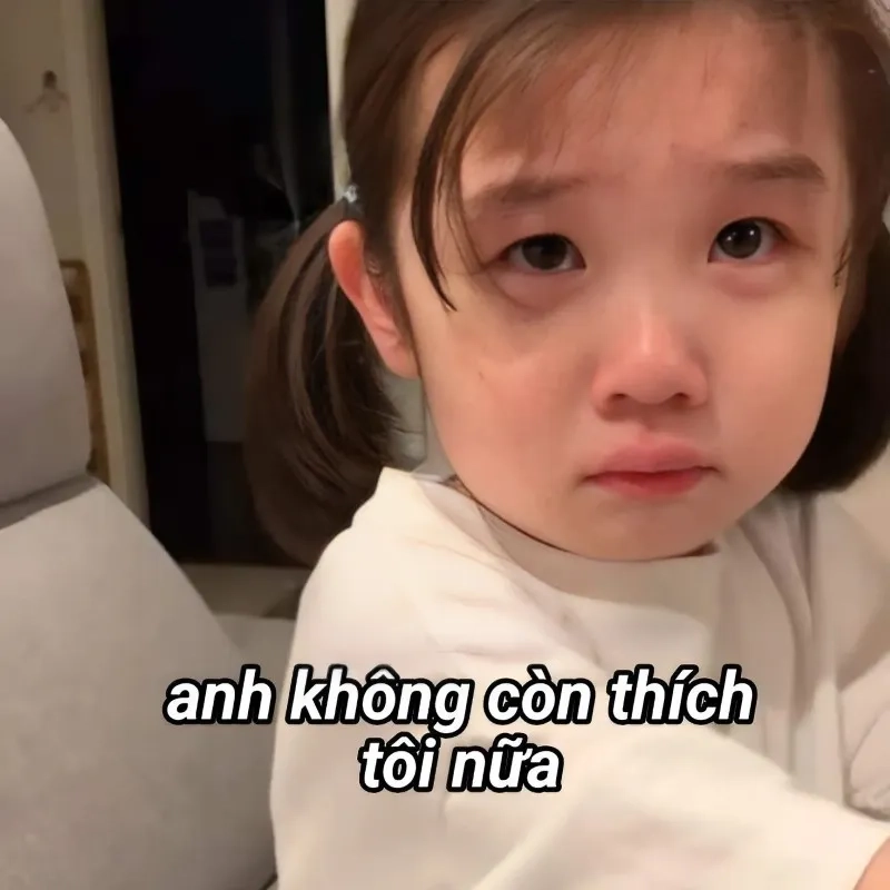 Meme mèo tặng hoa là hình ảnh ngọt ngào cho người yêu