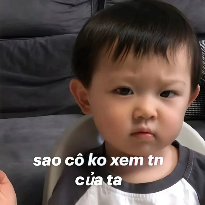 Mèo thả tim meme khiến bạn cảm thấy vui vẻ hơn