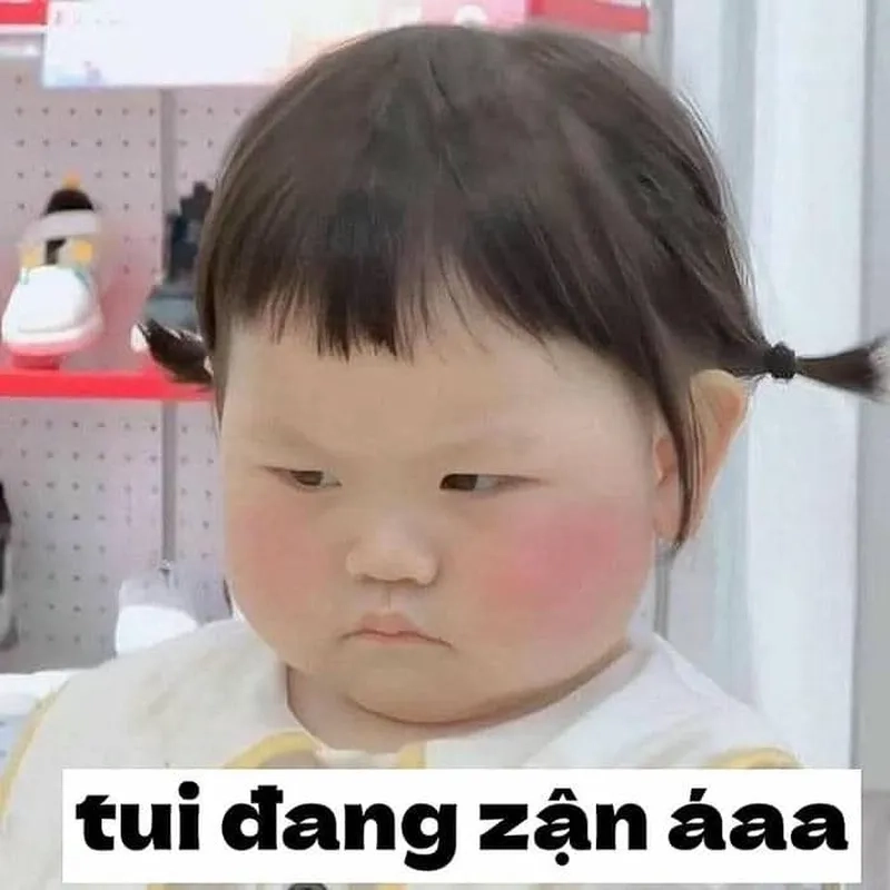 Meme tức giận cute khiến bạn không thể nhịn cười với sự dễ thương