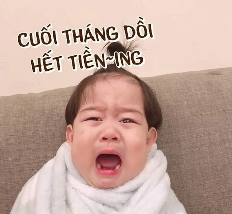 Mang tiền về cho mẹ meme thể hiện tình cảm gia đình một cách hài hước