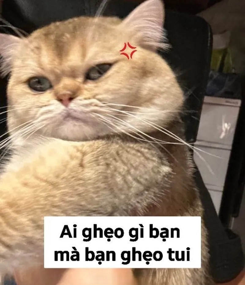 Meme cười vô tri là biểu tượng cho sự vui vẻ và hài hước