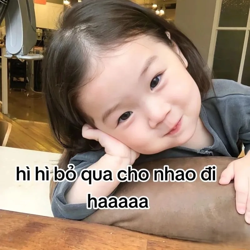 Avatar vô tri mèo meme là hình ảnh dễ thương cho người yêu mèo