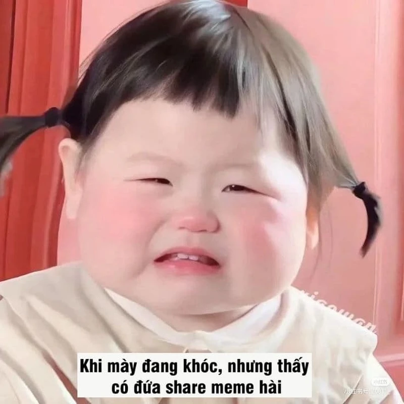 Meme vui buồn thể hiện những cảm xúc phức tạp trong cuộc sống