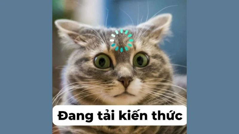 Meme vui lên đi khuyến khích bạn tìm niềm vui trong cuộc sống