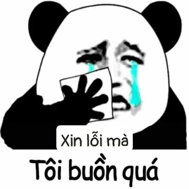 Meme tôi xin lỗi là hình ảnh dễ thương cho những ai yêu thích meme