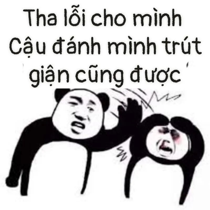 Meme xin lỗi em mang lại sự dễ thương cho người xem