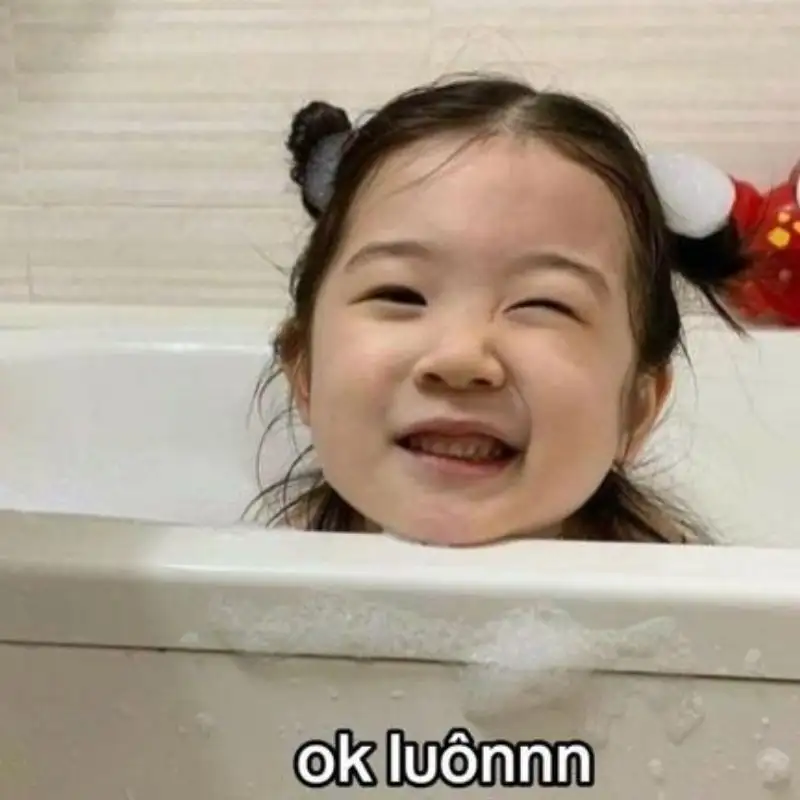 Ảnh chó cute meme mang lại niềm vui cho những người yêu chó