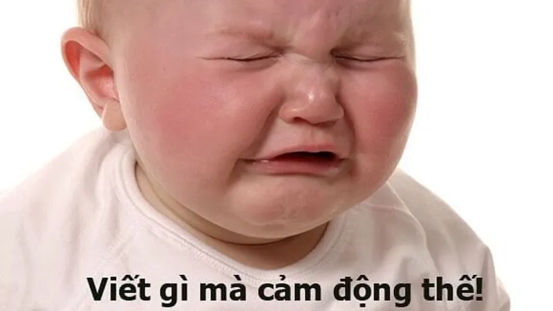 Meme cute có chữ là cách thú vị để thể hiện cảm xúc