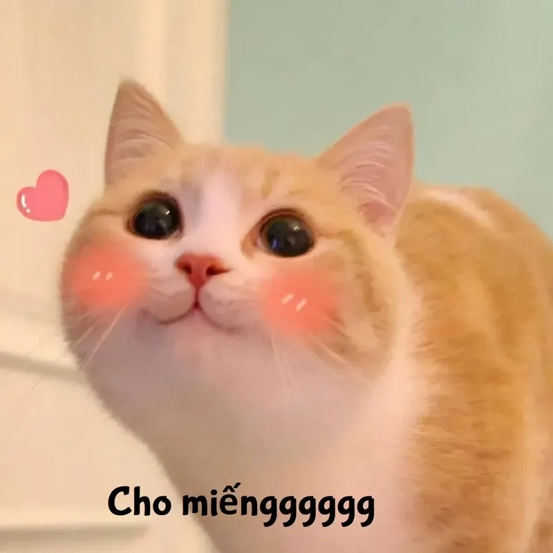 Tuyển tập cute meme đáng yêu nhất để chia sẻ với bạn bè