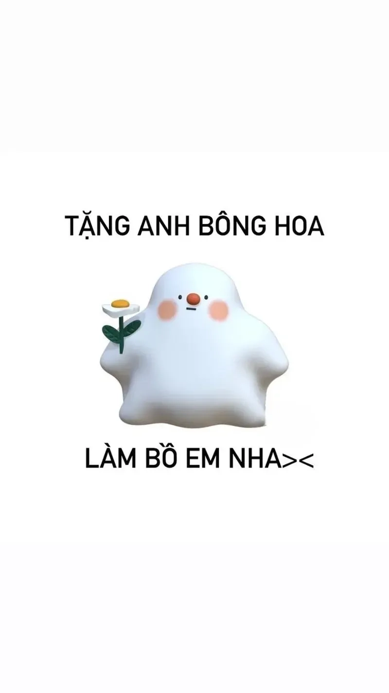 Meme tặng hoa mèo thể hiện tình cảm chân thành