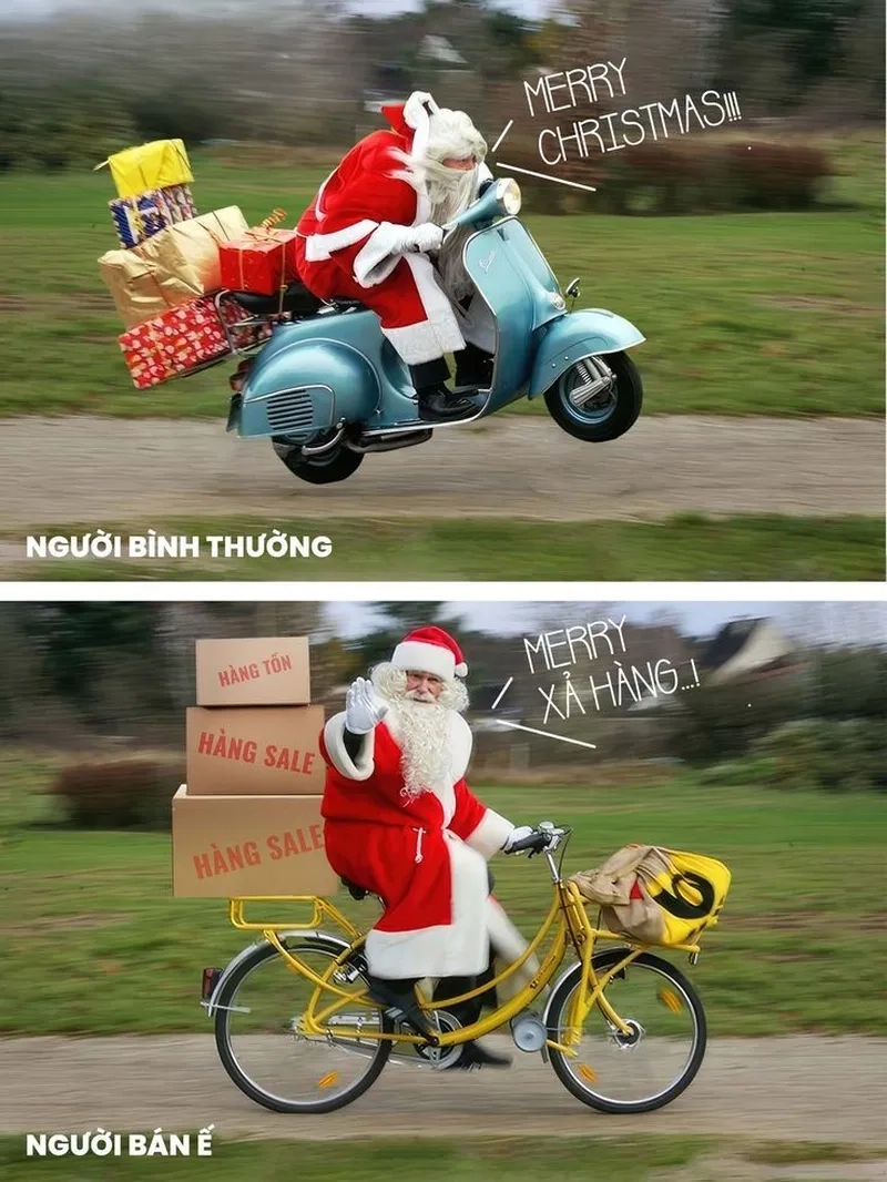 Hình mèo noel meme giúp bạn thể hiện sự sáng tạo trong mùa lễ