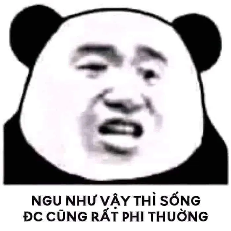 Ngu thì chết khóc lóc cl meme thể hiện sự hài hước trong cuộc sống