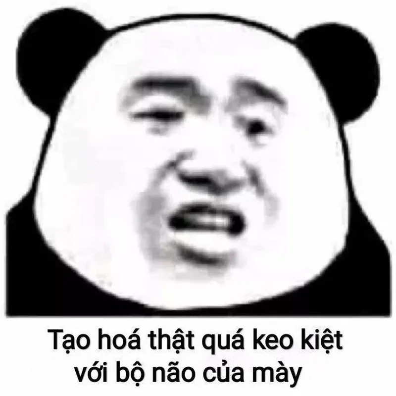 Language meme mang lại tiếng cười cho những ai yêu thích ngôn ngữ