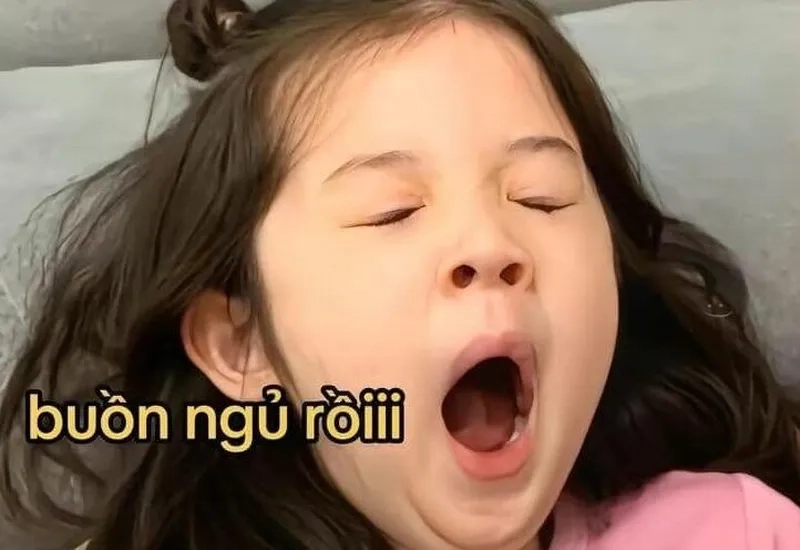 Ảnh đi ngủ meme là hình ảnh dễ thương cho những ai yêu thích sự thư giãn