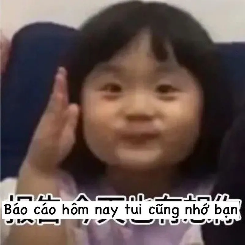 Meme bánh mì trí nhớ mang lại tiếng cười vui vẻ